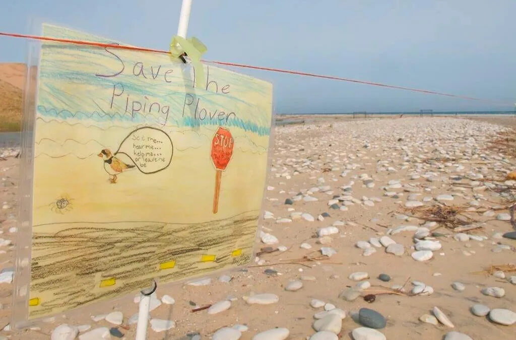 How Republicans and Democrats Are Working Together to Save Endangered Species in Michigan