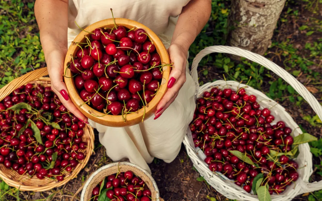 16 Michigan Fruit Festivals to Check Out in 2022