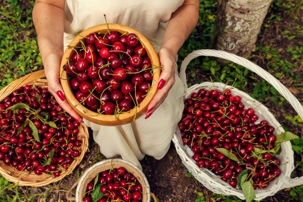 16 Michigan Fruit Festivals to Check Out in 2022