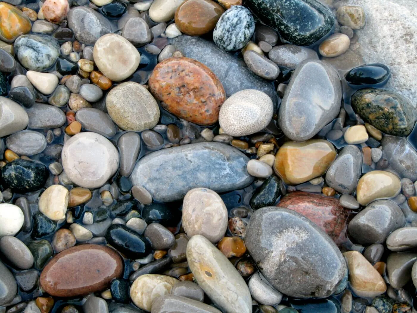 Michigan Rock Hunting: Seven Local Stones to Search For