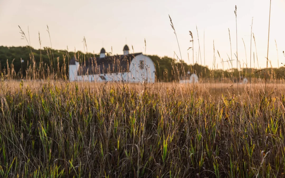 ‘Made in Michigan’: A Record Year for Food and Forest Exports Is Good News Amid Disruptions