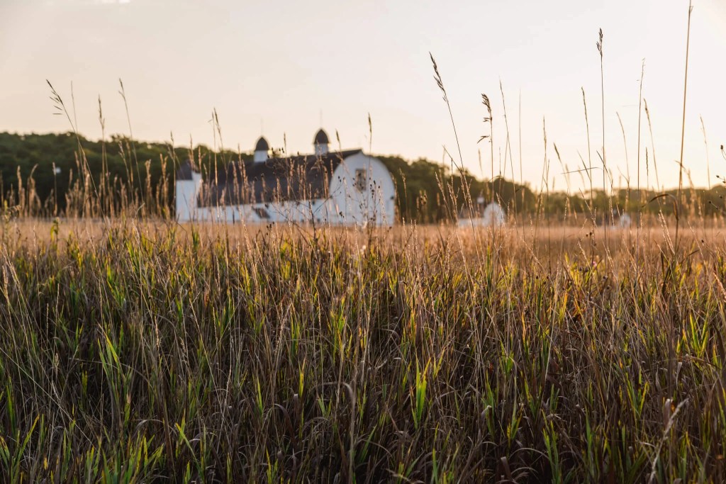 ‘Made in Michigan’: A Record Year for Food and Forest Exports Is Good News Amid Disruptions