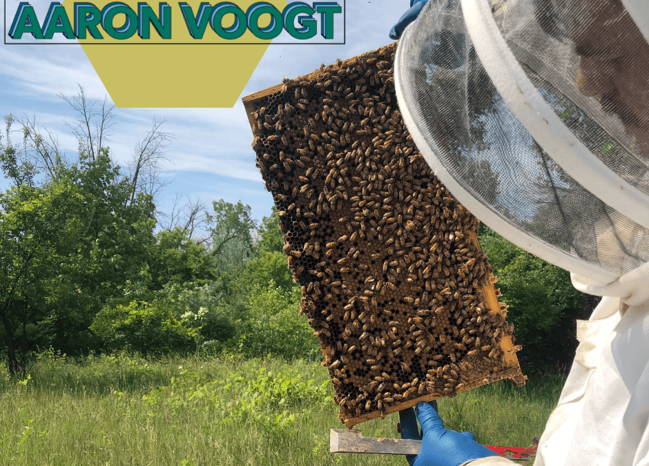 Curious About Michigan’s Honeybees? Aaron Has the Buzz on All Things Bees, Beekeeping, and Local Honey