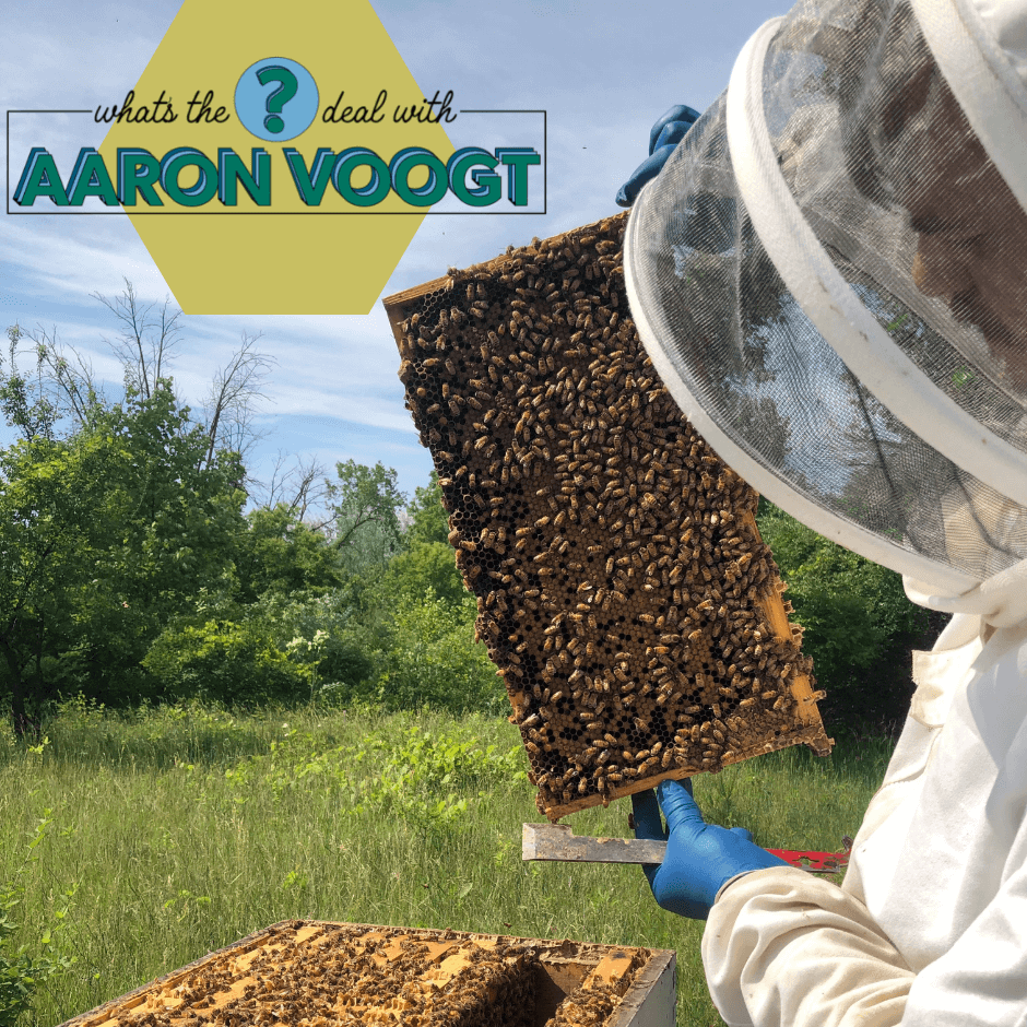 Curious About Michigan’s Honeybees? Aaron Has the Buzz on All Things Bees, Beekeeping, and Local Honey