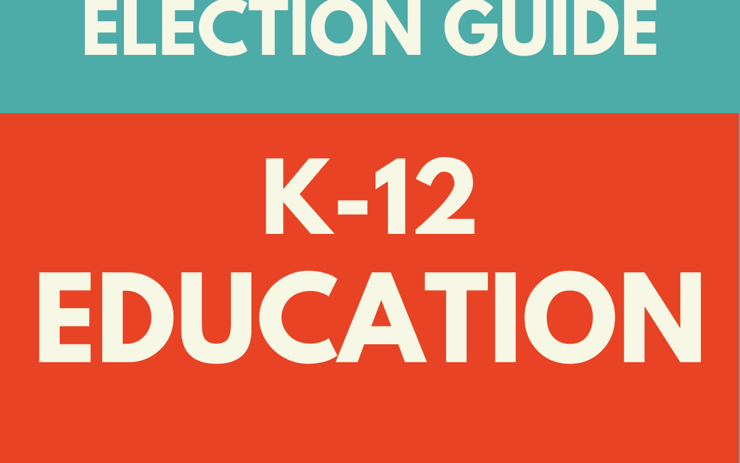 Election Guide: Where Do Michigan’s Gubernatorial Candidates Stand on Education?