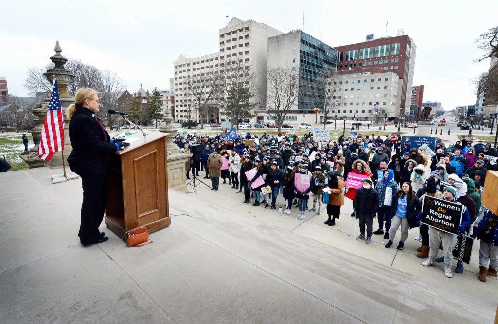 The Legislative Primary Races That Could Sway Control of Michigan