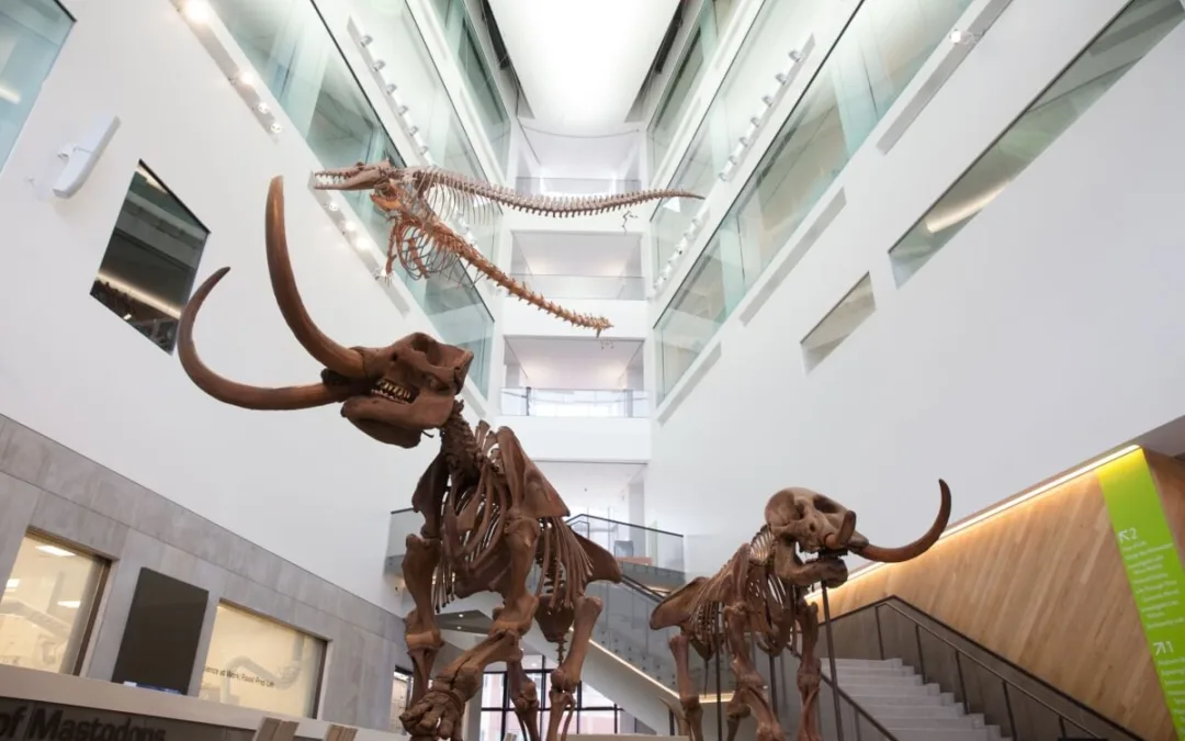 Free Tickets: 20+ Michigan Museums Friendly for Both Family and Budget