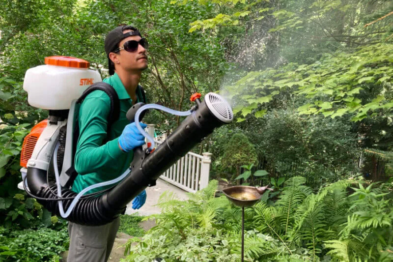 Backyard Mosquito Spraying Booms in Michigan—But It May Be Too Deadly Backyard Mosquito Spraying Booms in Michigan—But It May Be Too Deadly