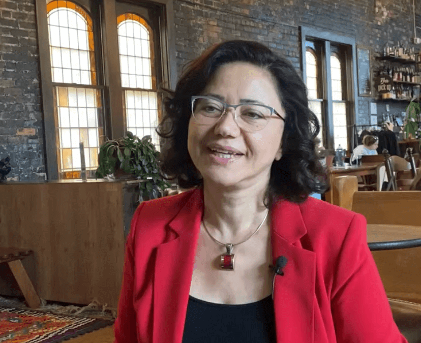 3 Things to Know About Democrat Shadia Martini, 54th House District Candidate (Orion Township, Auburn Hills, Bloomfield Hills)