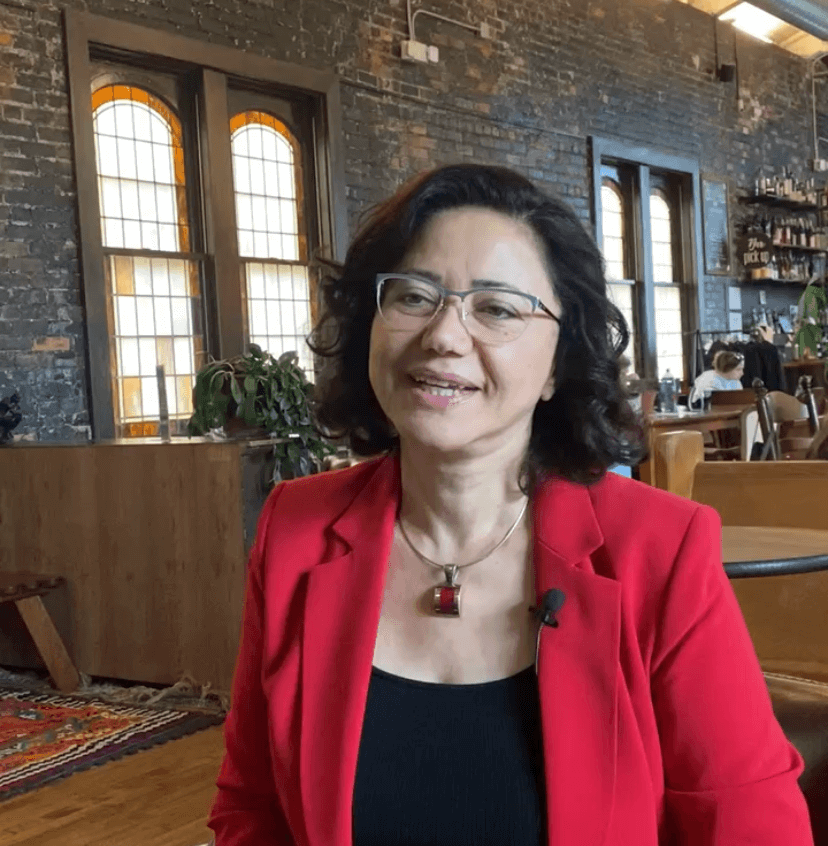 3 Things to Know About Democrat Shadia Martini, 54th House District Candidate (Orion Township, Auburn Hills, Bloomfield Hills)