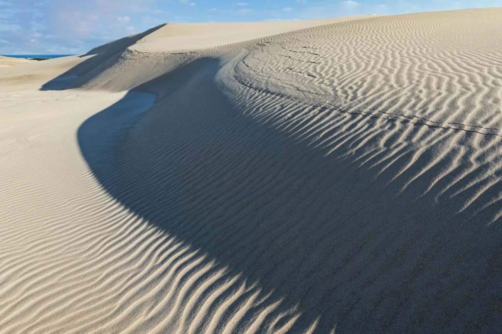 8 Winter Hikes in Michigan’s Moodiest Woods