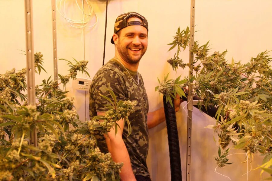 Lapeer Pot Farmers Take ‘Old School’ Approach to Cannabis Cultivation