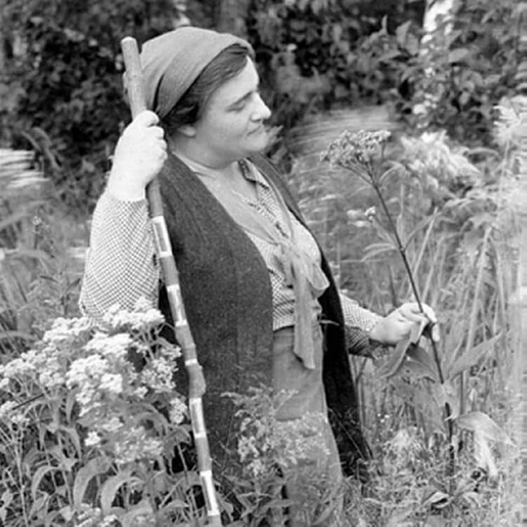 9 Michigan Women Who Have Amazing Stories