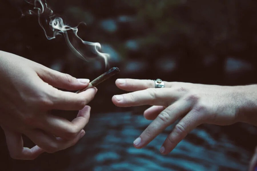 6 Quick Hits of Cannabis News From Across Michigan