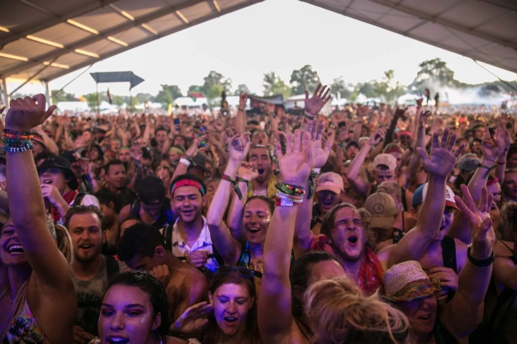 24 Highly Anticipated Music Festivals in Michigan in 2023