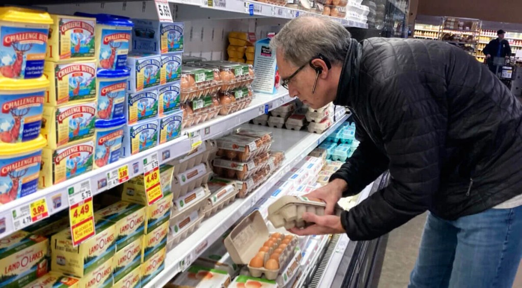 Eggsplainer: Nessel Wants Your Grocery Store to be Straight Up About Eggs