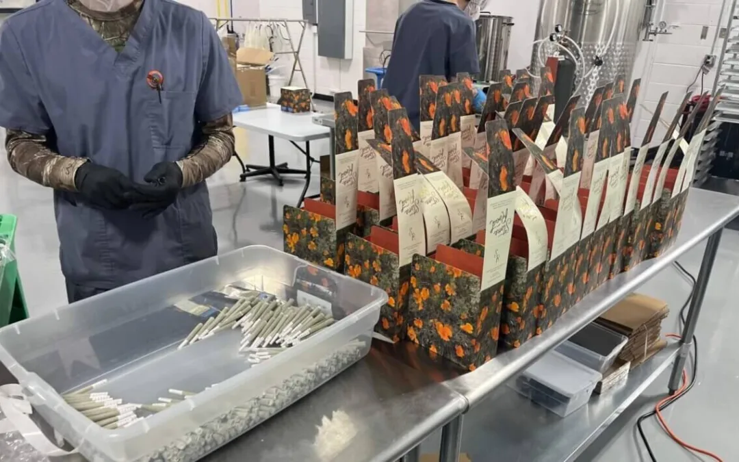 California Brand Expands to Michigan With ‘Good Old-Fashioned’ Weed