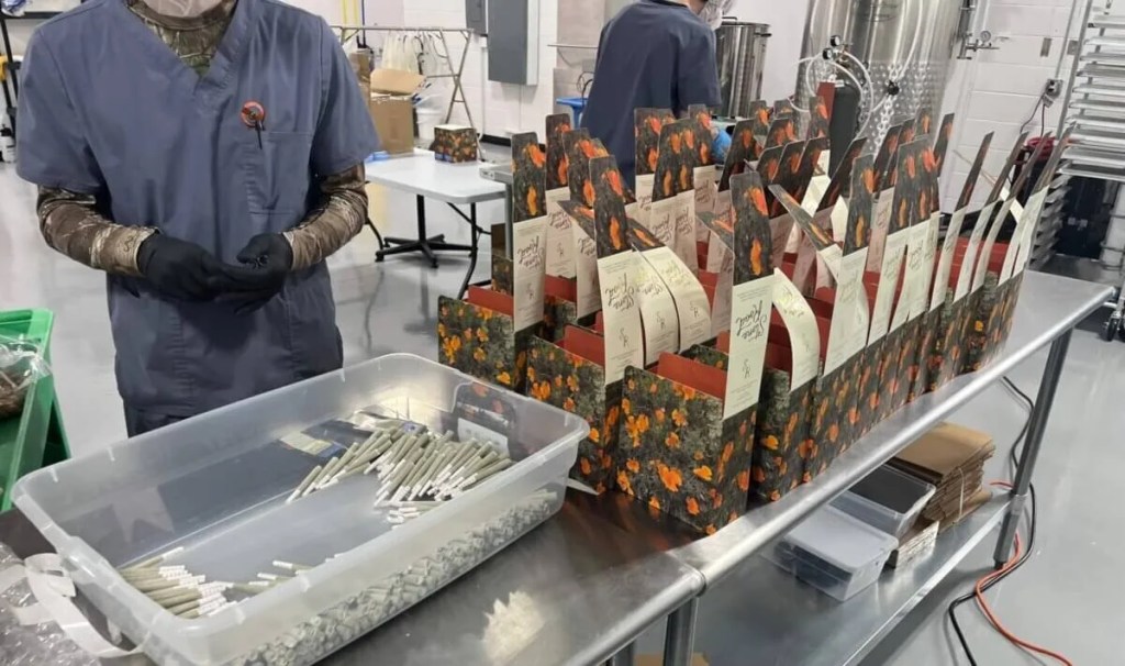 California Brand Expands to Michigan With ‘Good Old-Fashioned’ Weed