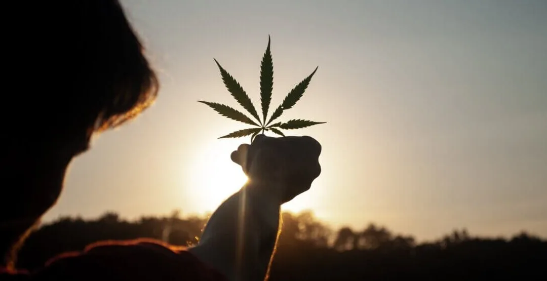 8 Quick Hits of Cannabis News From Across Michigan