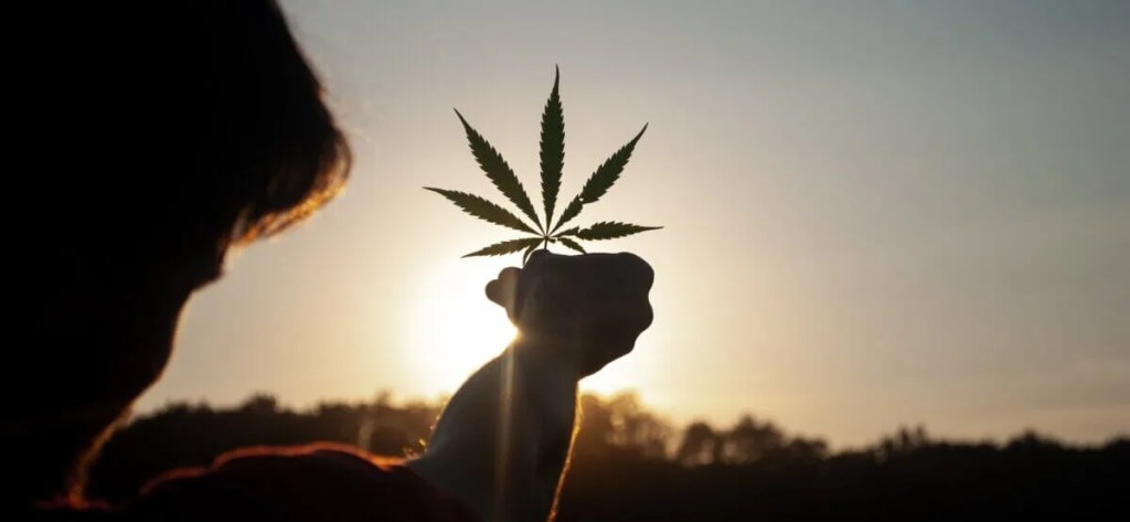 8 Quick Hits of Cannabis News From Across Michigan