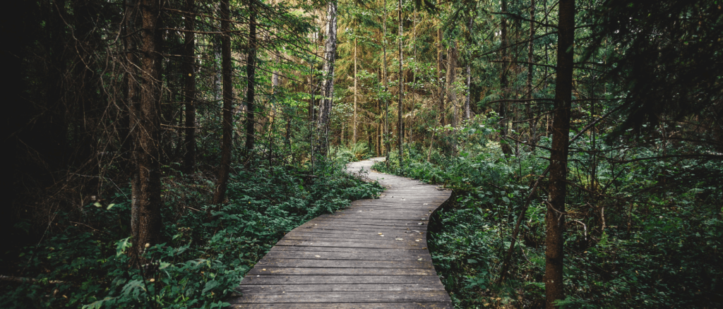 Offbeat Adventures: Travel to the Coolest Hidden Wonders in Every US State