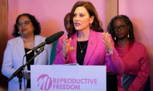 8 ways Michigan Democrats protected abortion rights in 2023