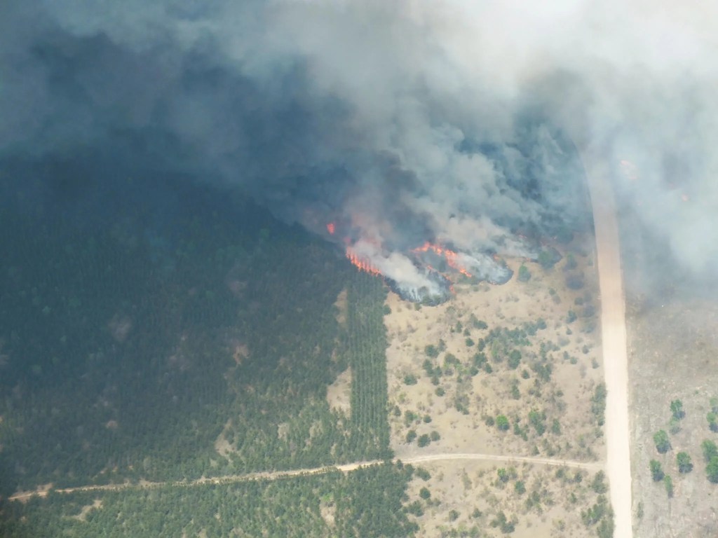 DNR: Wilderness Trail Wildfire Near Grayling Now 100% Contained, Local Roads Reopen