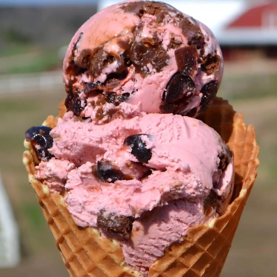 11 Must-Try Summer Foods to Find in Michigan