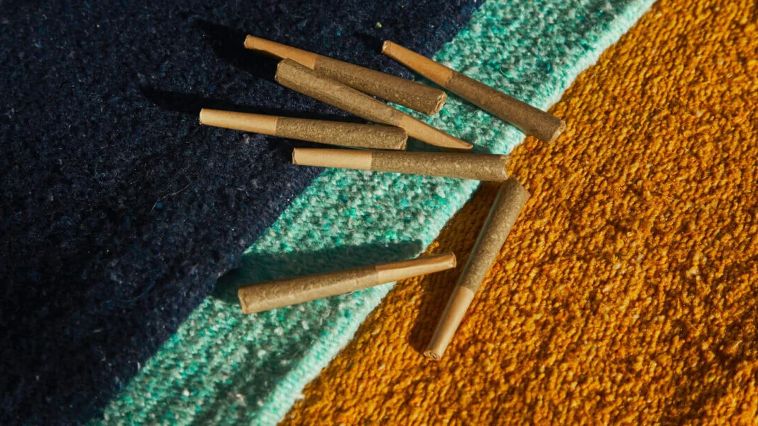 12 Quick Hits of Cannabis News from Across Michigan