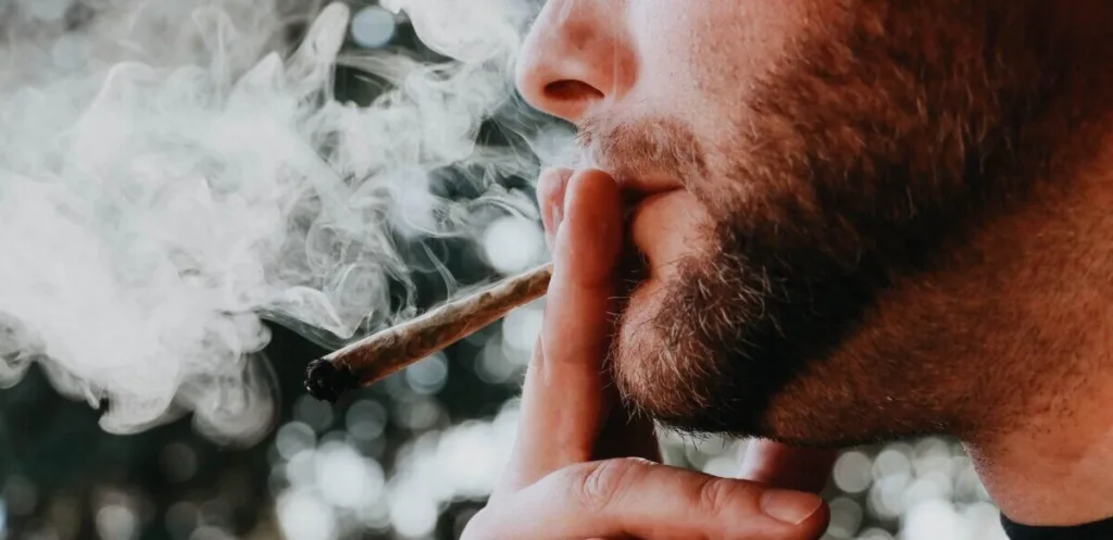 MichiGanja - The Gander