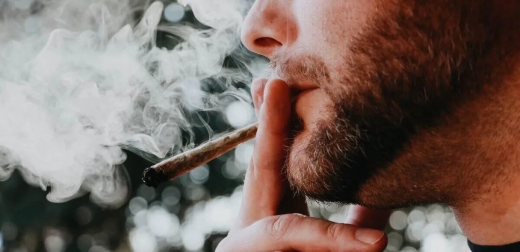 9 Quick Hits of Cannabis News from Across Michigan