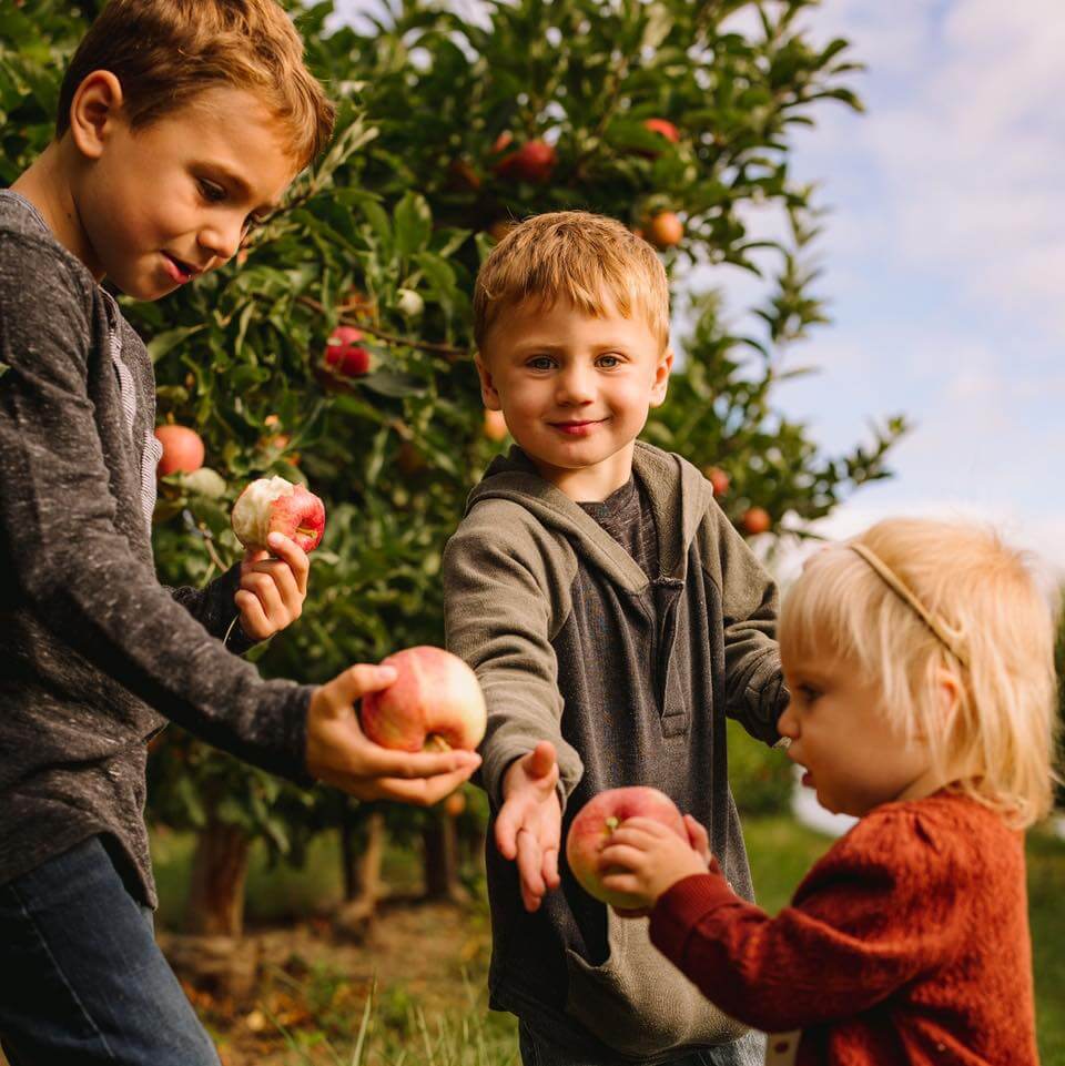 ​​Your Ultimate Guide to U-Pick Hotspots in Michigan