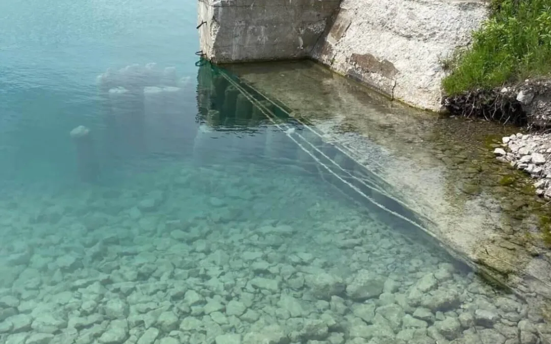 Michigan Rocks: Your Guide to Collecting the State’s Unique Native Stones