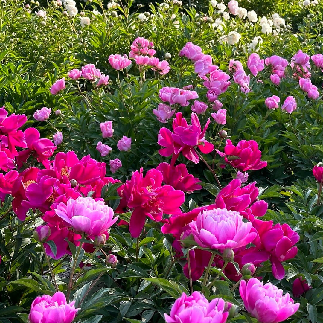 18 Extra-Instagrammable Spots in Detroit and Southern Michigan