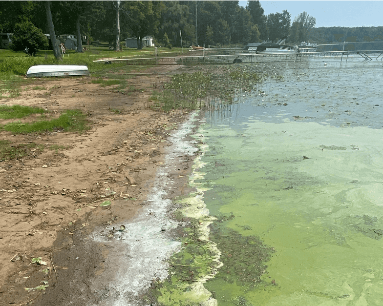 MI Officials Warning Residents of Harmful Algal Blooms in Some Bodies of Water