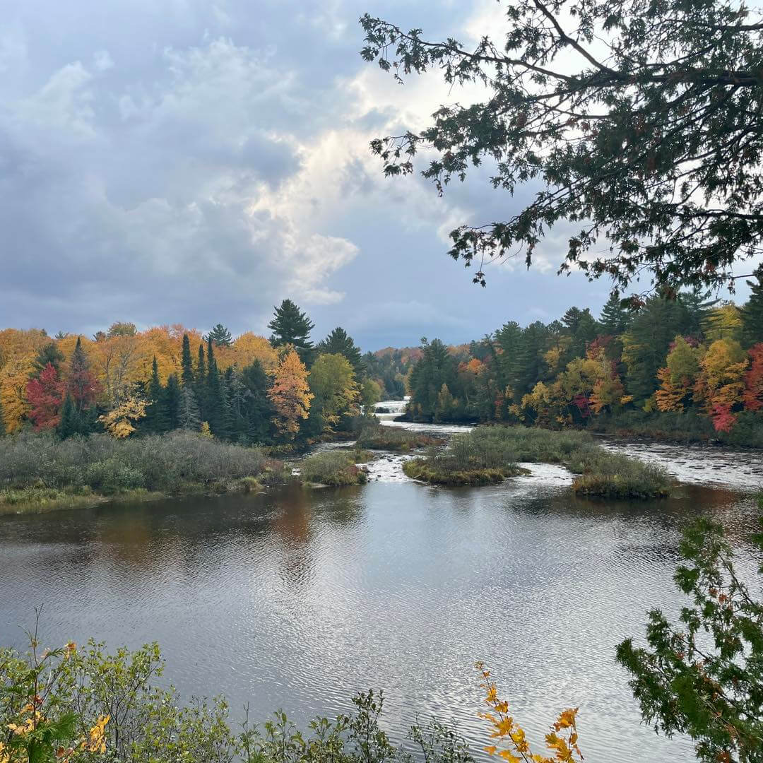 9 Michigan Swimming Holes to Swing Into for a Rustic Summer