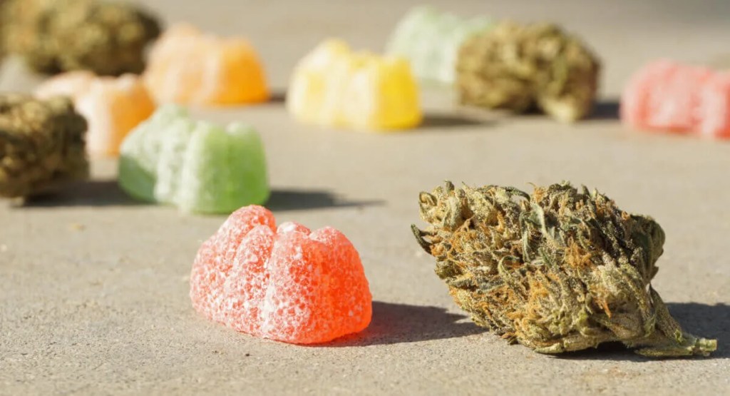 Reader’s Choice: 7 Best Cannabis-Infused Edibles in Michigan