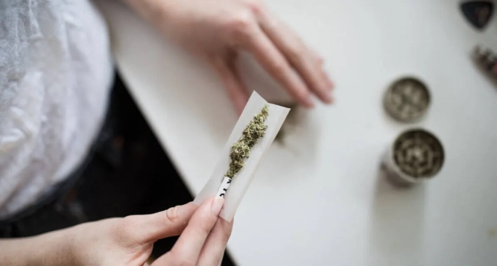 12 Quick Hits of Cannabis News From Across Michigan