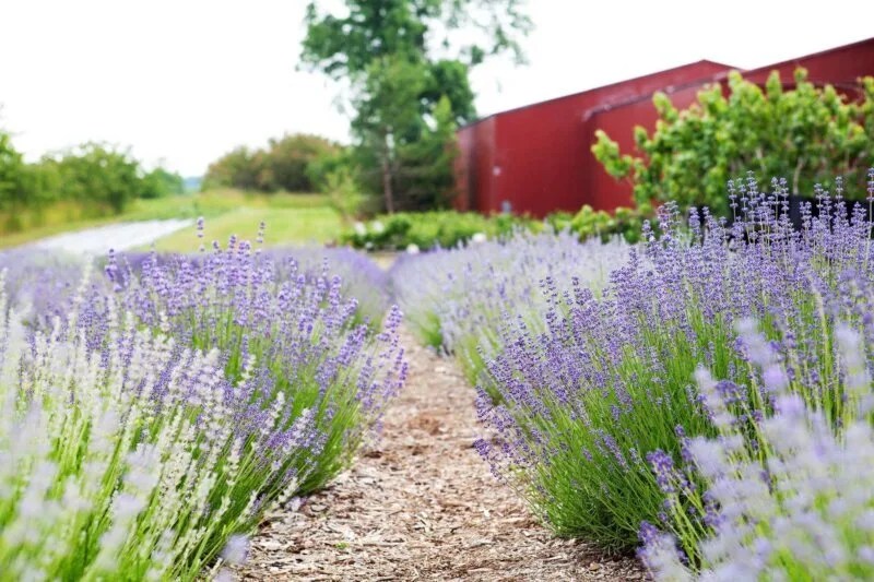 7 Extra-Instagrammable Spots in Northern Michigan