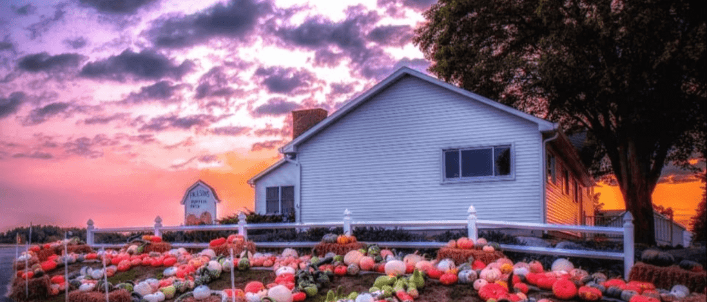 Pumpkin Patches, Cider Mills, & Other ‘Sweater Weather’ Activities in West Michigan