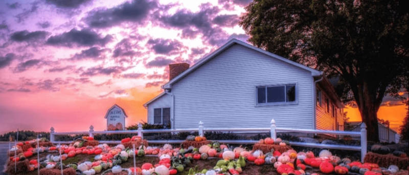 Pumpkin Patches, Cider Mills, & Other ‘Sweater Weather’ Activities in West Michigan