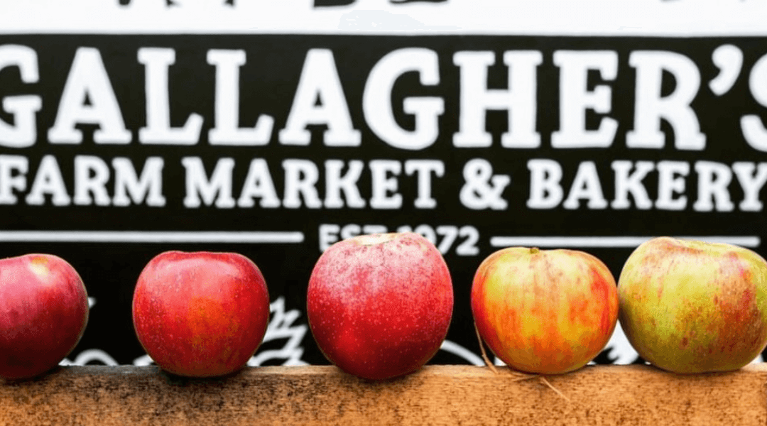 Get Out Your Puffy Vests: Here’s Your Fall Fun Bucket List For Northern Michigan