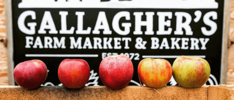 Get Out Your Puffy Vests: Here’s Your Fall Fun Bucket List For Northern Michigan