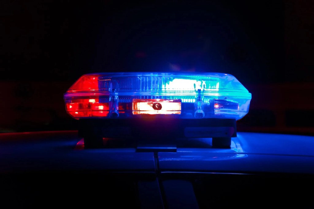 Man Who Sought to Expose Sexual Predators Fatally Shot During Argument in Detroit-Area Restaurant