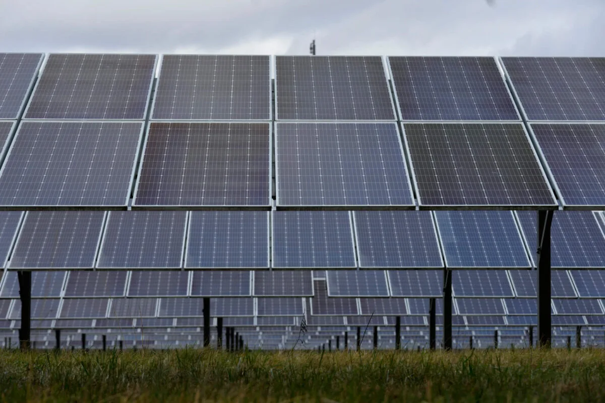 Harvesting Sunshine: How agri-solar is transforming farming 