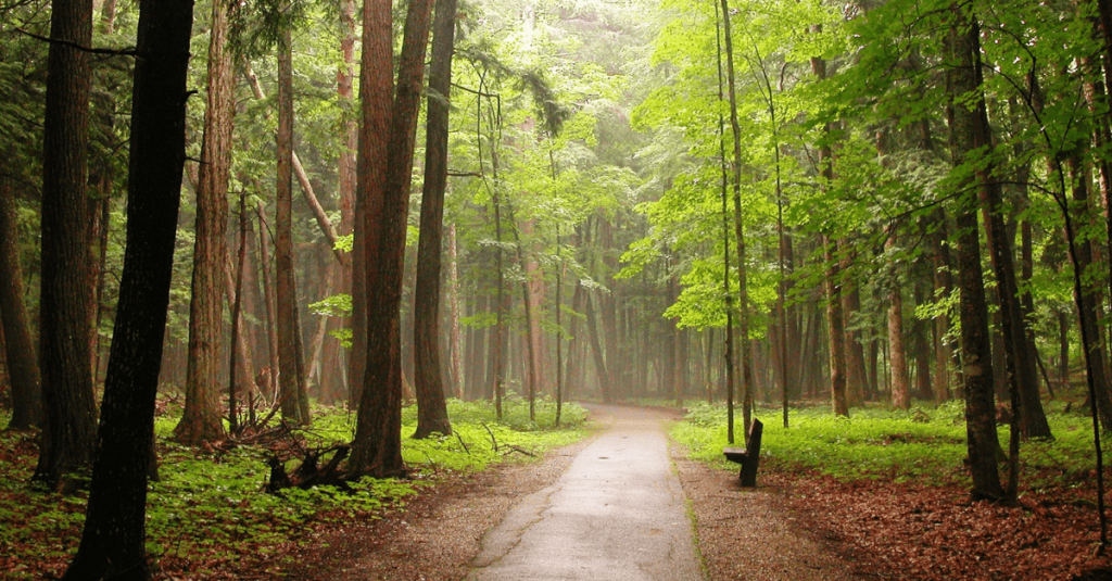 Michigan state parks get upgrades with funds from Biden administration
