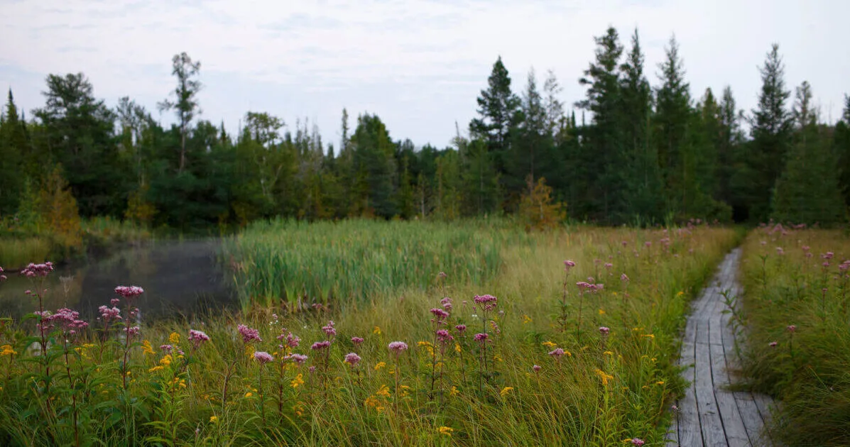 Michigan uses federal funds to improve dozens of parks and trails