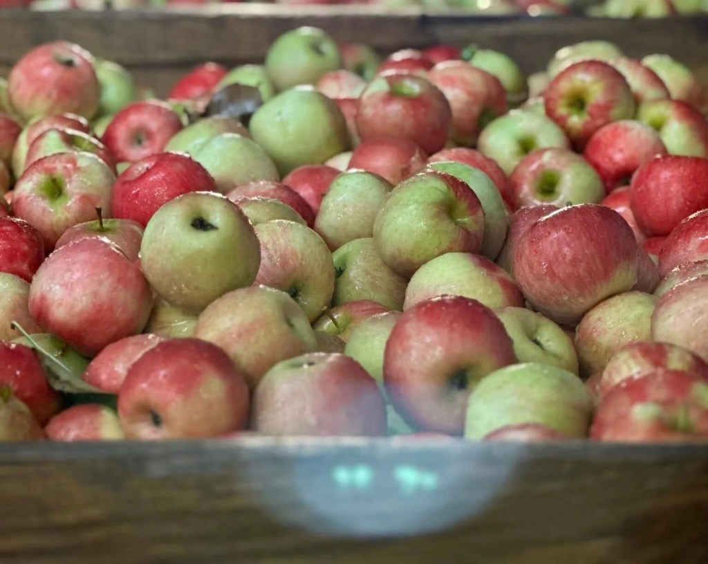 We asked, you answered: Here are 22 of the best cider mills in Michigan