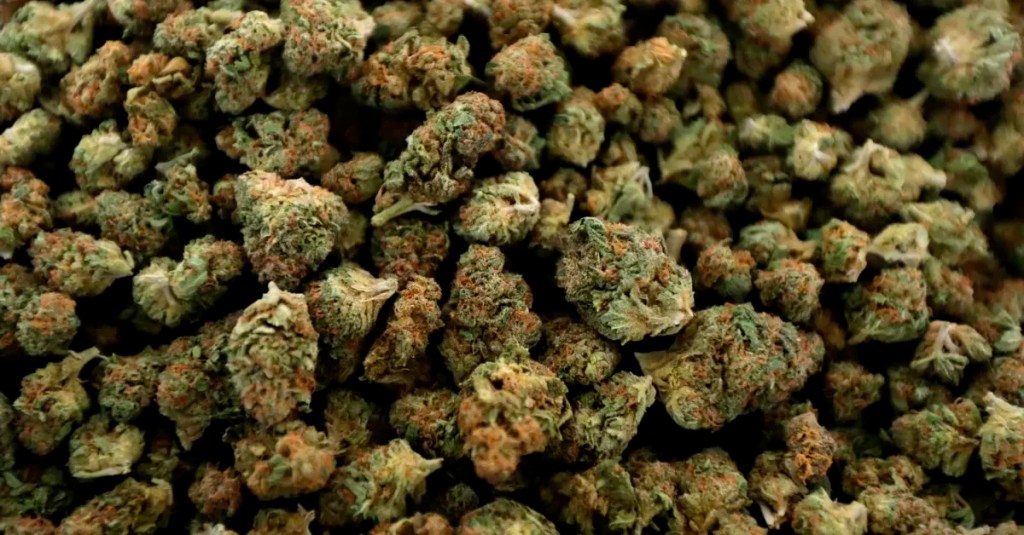 8 quick hits of cannabis news from across Michigan