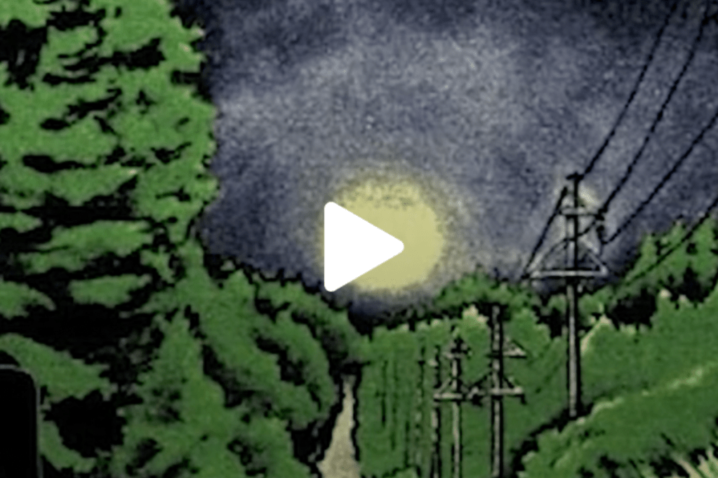 VIDEO: A bizarre state history of Michigan